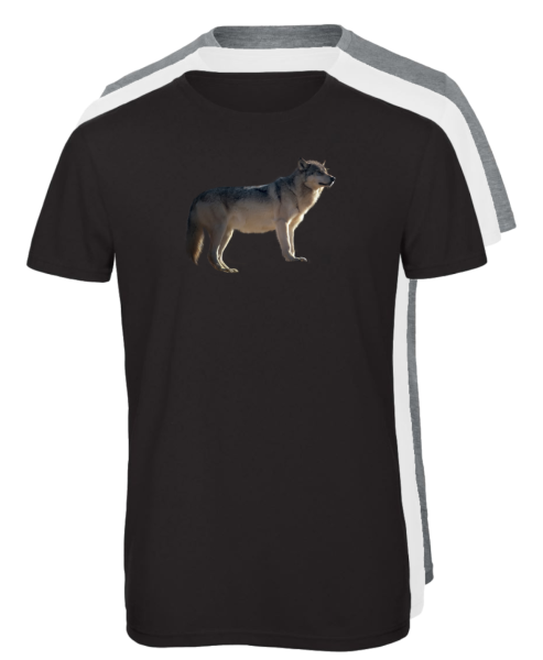 T-Shirt Lupo